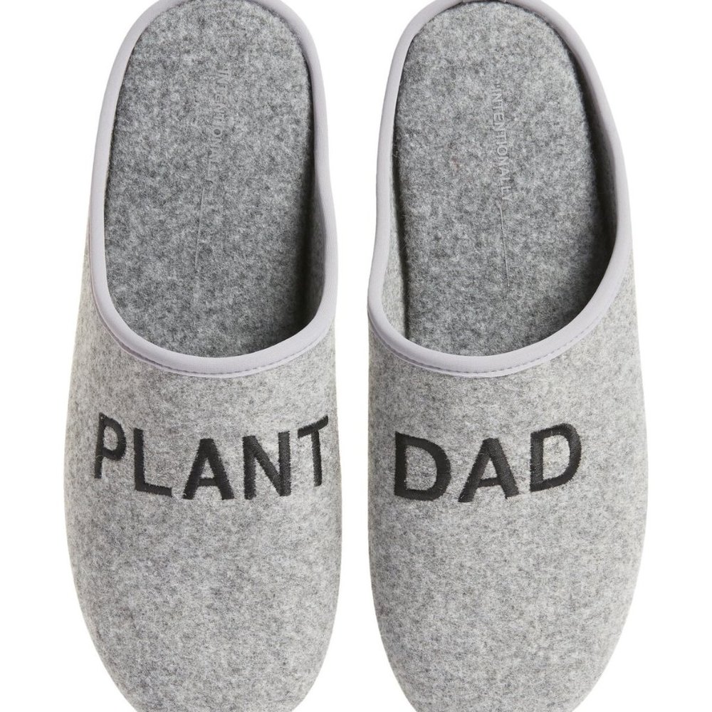 INTENTIONALLY BLANK Plant Dad Slippers  Sz EU42/US9